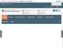 Tablet Screenshot of ozelanadolu.com